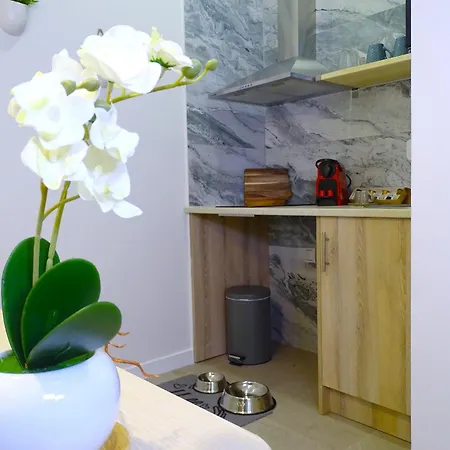 Apartmán Ptz 1b - Loft