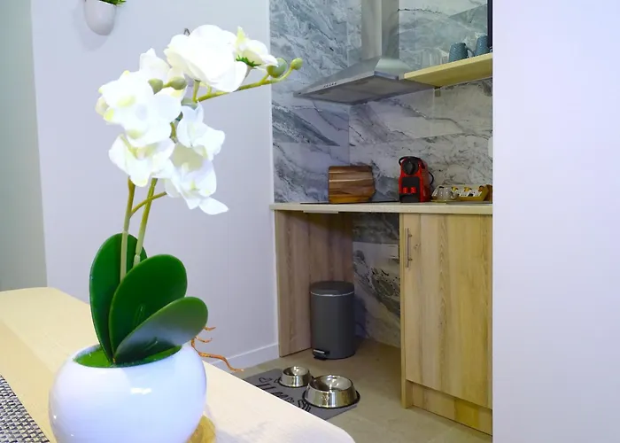 Apartman Loft Valencia Ptz - Between Arts Roig Arena & Ruzafa Street Suites - Private Entry